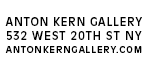 Anton Kern Gallery
